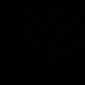 Meet your Posher, Devonna